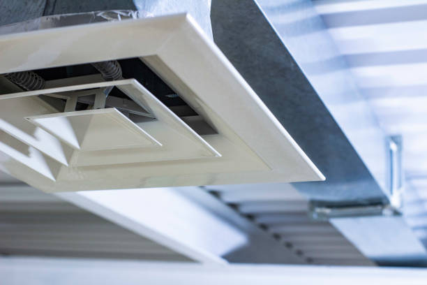 Best Affordable Duct Cleaning Services  in Taylorvle, IL