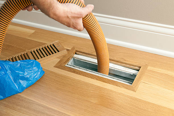 Best Air Duct Cleaning Near Me  in Taylorvle, IL