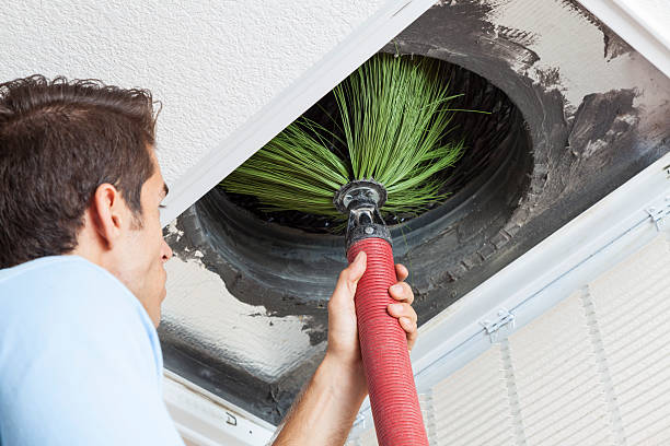 Best HVAC System Cleaning  in Taylorvle, IL
