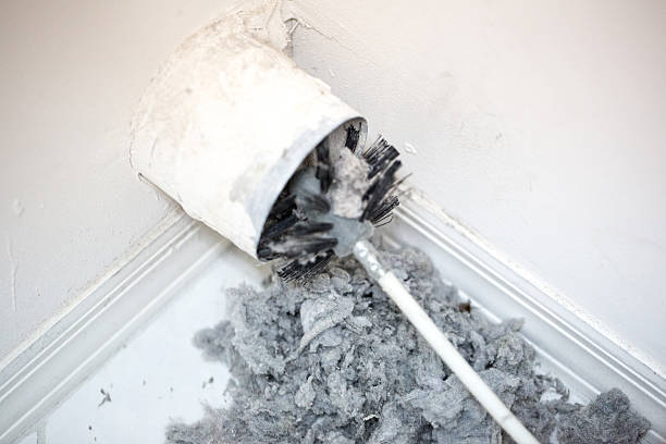 Best Duct Cleaning for Offices  in Taylorvle, IL