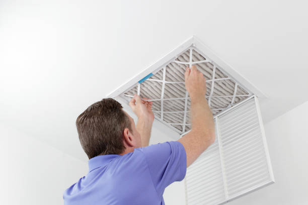 Best Professional Duct Cleaning Services  in Taylorvle, IL